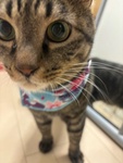 Ȃ݂񂳂