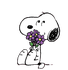 ݂炢no݂炢