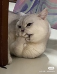 FlR
