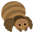 XpC_[c