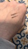 IMG_8679.jpeg