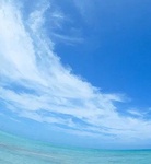 SEA&SEA