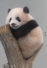 ~
