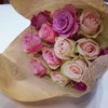 RUBYROSE26