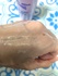 E}Ch / E}Chtiby 䂫3460j