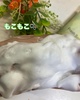 2025-05-21 19:48:12