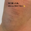 IMG_0359.jpeg