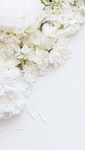 winter:*:߂