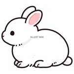 Ailykl