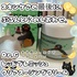 2025-07-26 12:24:05 by ؂[Ɓ