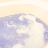 2025-03-24 22:14:49 by [147