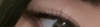 2022-06-26 18:13:42 by g
