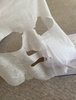 IMG_6759.jpeg