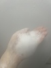 IMG_7046.jpeg