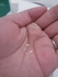 2015-02-19 15:10:42 by ݂삳