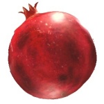 ̂̂̂̂̂̂̂̂̂̂