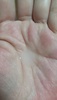 2025-06-10 22:51:55