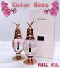 COLORROSE / ̃JIlCJ[iby ЂȂق̂j