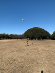airiho