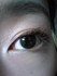 bVGLXp_[ t[vX - 