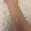 IMG_2449.jpeg