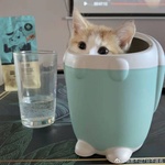 uii