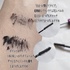 2025-06-30 12:48:47 by Ȃ_Ȃ񂳂