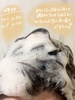 2024-07-29 18:24:57 by Moou