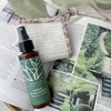 noom&co. / aroma mist HINOKI IN THE FORESTiby [0325j