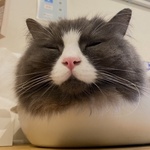 3566
