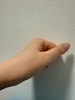 2025-03-05 11:34:23
