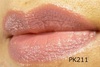 GNZgXeC[VJPK211 by R