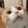 ``񂳂