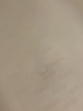 2025-03-14 17:43:30