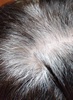 IMG_20230109_162814-1.jpg