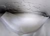 1000042291.jpg by ܂߂߂