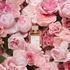 2024-07-21 11:42:14 by @yaya_
