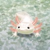 -₵-
