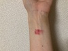2025-01-11 20:35:07 by u邳