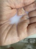 2025-02-22 10:56:03 by ݂݂ȂȂ