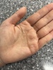 IMG_1977.jpeg