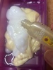2025-05-04 20:48:52 by 肽