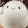 R