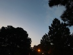 ς4553