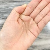 2025-04-23 20:10:23 by [݂[݂