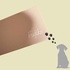 2025-01-22 03:11:11 by ̌