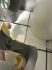 IMG_4330.jpeg
