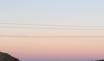 sakura_sunset
