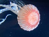 ܂0725