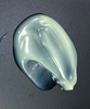 IMG_9304.jpeg